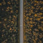 alexandr-bormotin-qJTHcyQVBY8-unsplash