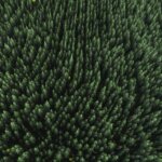 tom-ohlin-p7ri-9fOAC8-unsplash